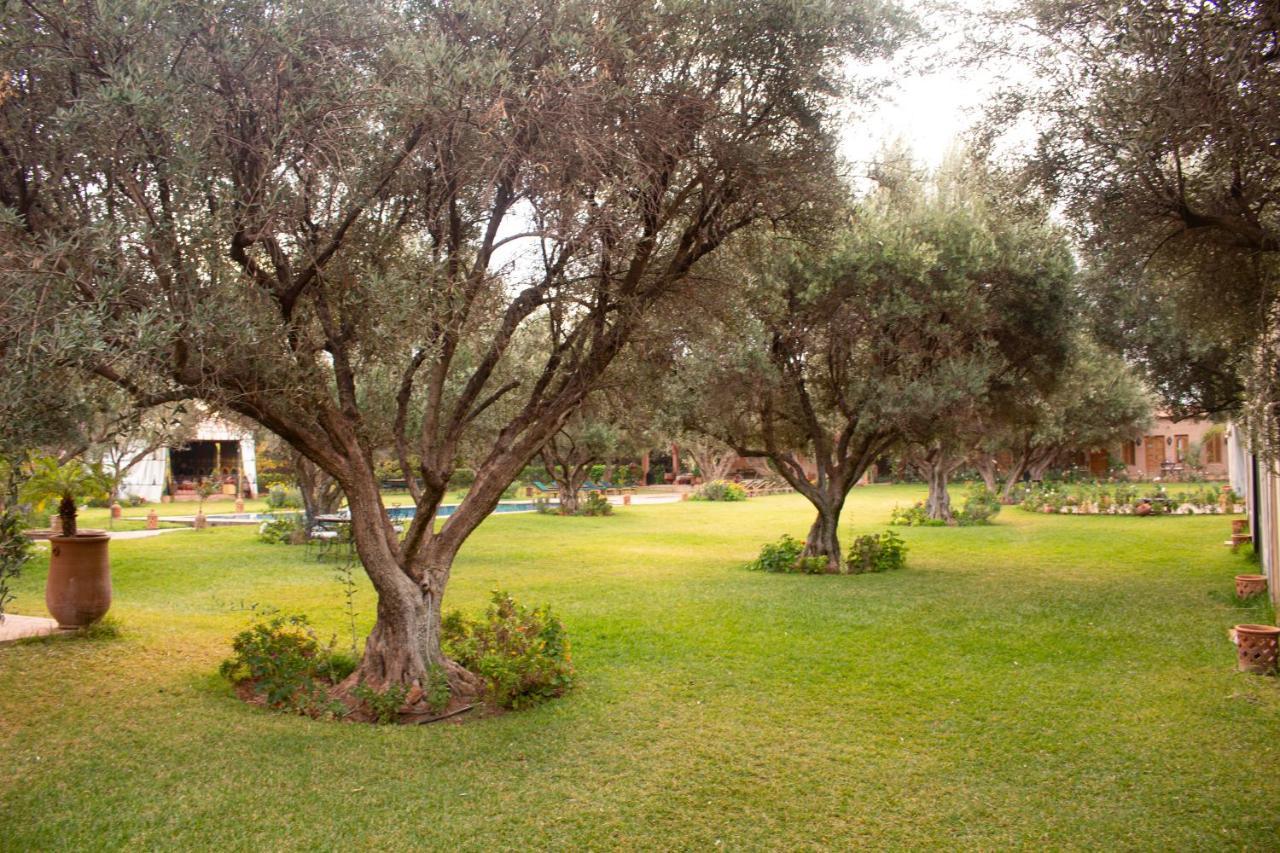 Greenlife Marrakech Marrakesz Zewnętrze zdjęcie